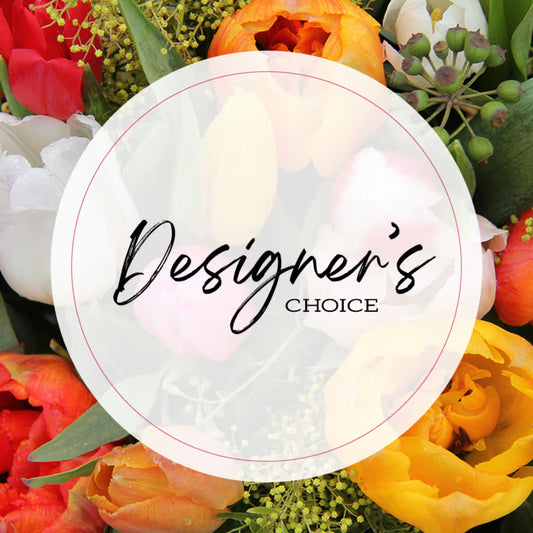 Designers Choice