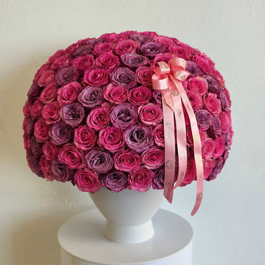 Fuchsia Fantasy