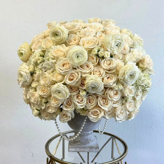 Ranunculus Haven
